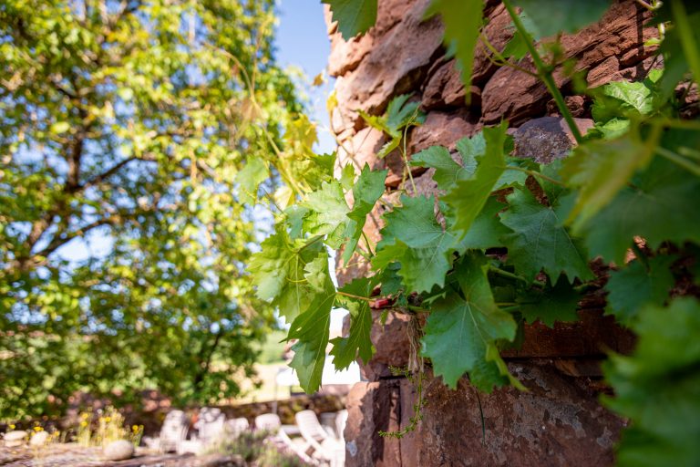 Le Brugas gîte Aveyron