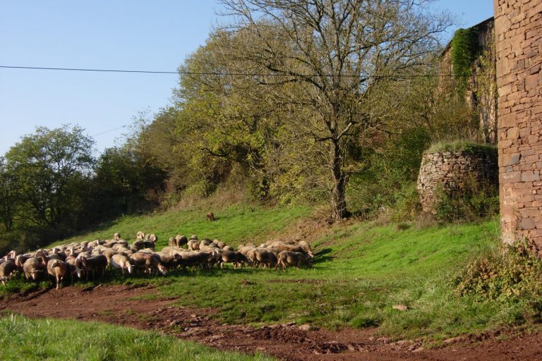 La visite des voisines